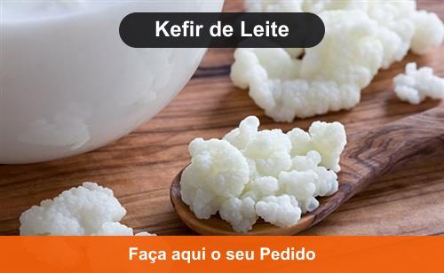 Kefir de Leite - Doação de Kombuchá e Kefir em Apuí - AM Kefir de Leite - Doação de Kombuchá e Kefir em Apuí - AM