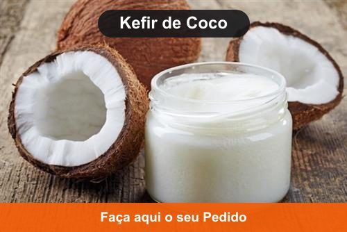Kefir de Leite de Coco - Doação de Kombuchá e Kefir em Apuí - AM Kefir de Leite de Coco - Doação de Kombuchá e Kefir em Apuí - AM
