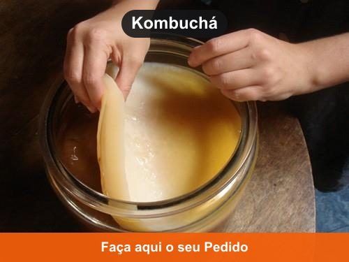 Kombuchá - Doação de Kombuchá e Kefir em Apuí - AM Kombuchá - Doação de Kombuchá e Kefir em Apuí - AM